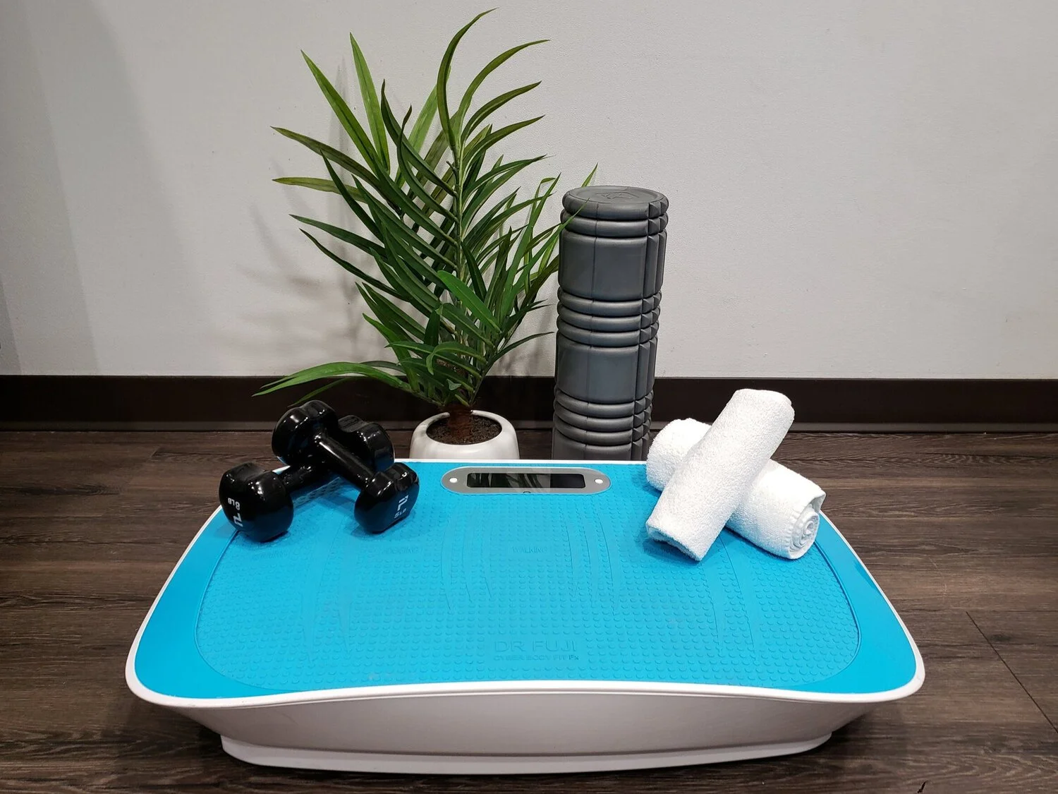 A Wave whole body vibration platform with dumbbells, a foam roller, a towel and a plant